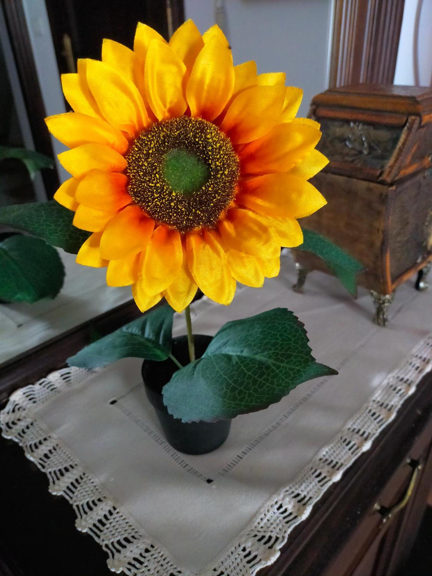 Los Girasoles Olvera Exterior foto
